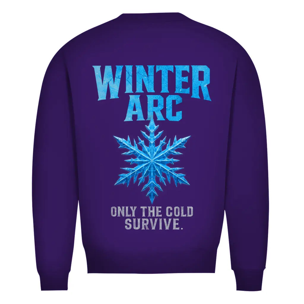Winter Arc – Premium Bio Sweatshirt Printegy