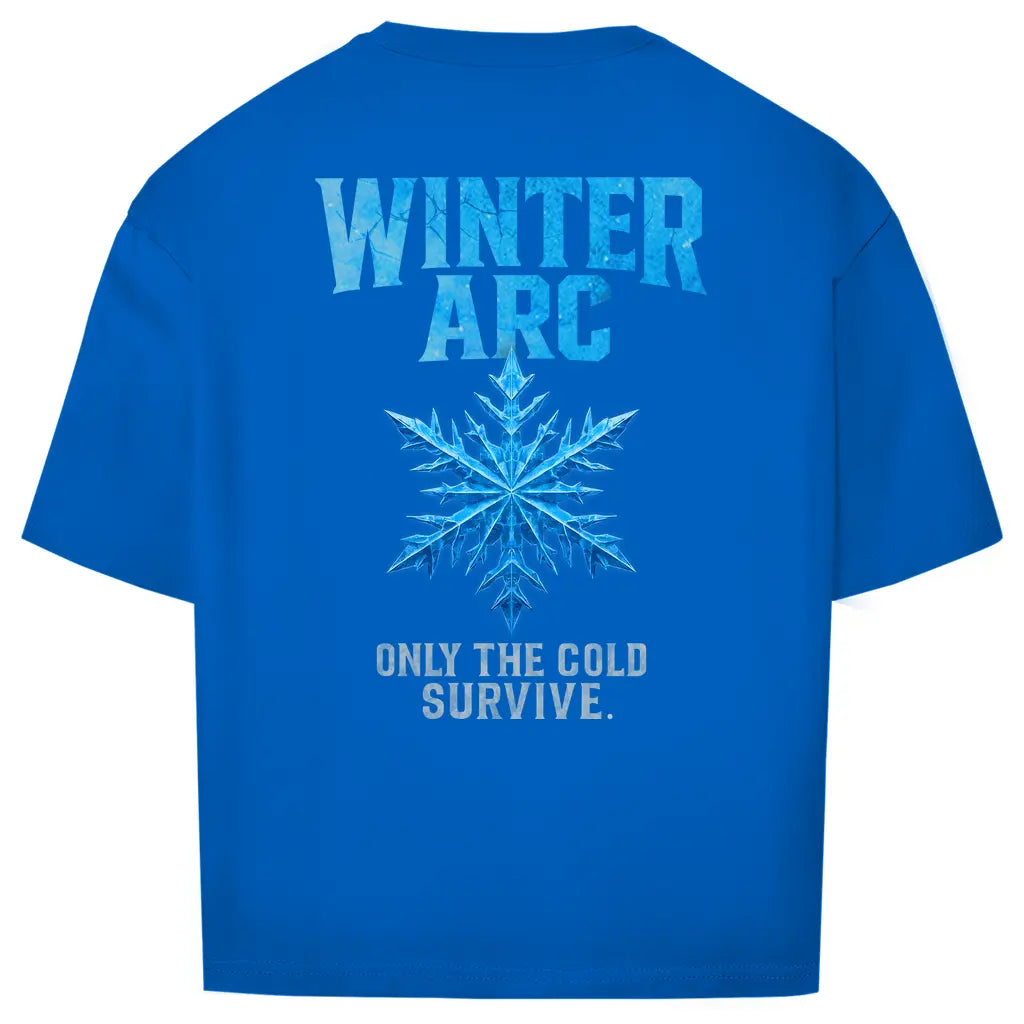 Winter Arc – Oversize Performance T-Shirt Printegy